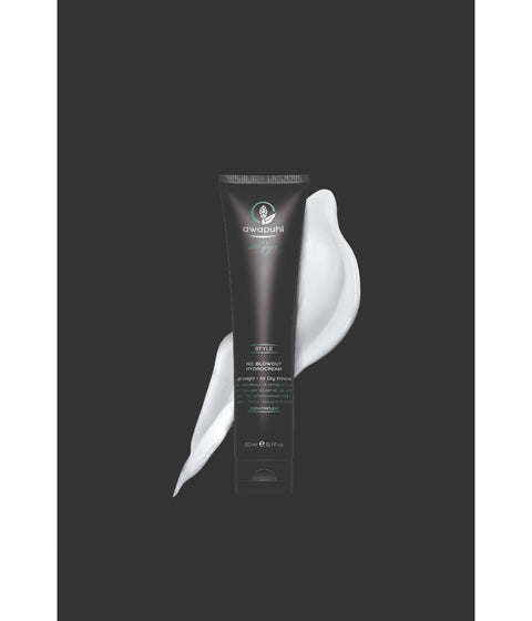 Paul Mitchell Awapuhi Wild Ginger No Blowout Hydrocream, 150mL
