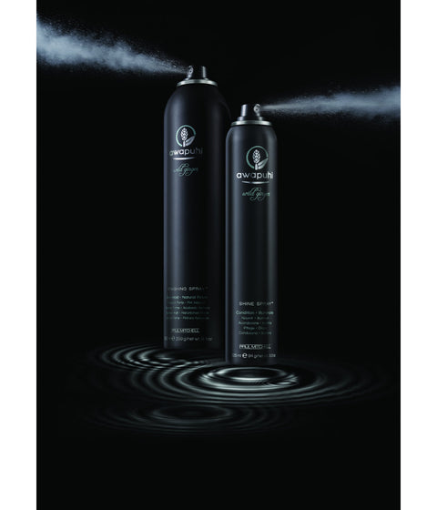 Paul Mitchell Awapuhi Wild Ginger Finishing Spray, 300mL