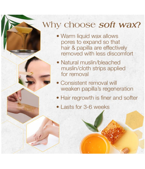 GiGi All Purpose Honee Hair Removal Soft Wax, 14oz