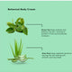 DA BCL Spa Hand & Body Cream - Green Tea Revive