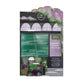 PM Lavender Dreams Floral Design (Lavender Mint Set)